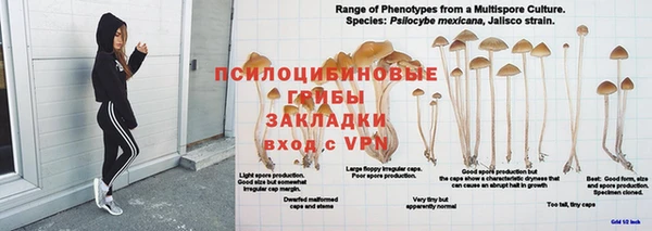 мяу мяу мука Корсаков