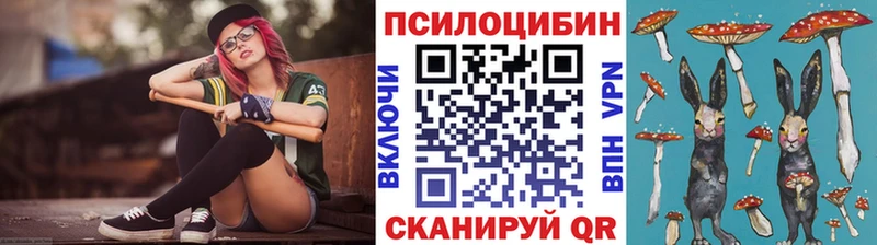 Псилоцибиновые грибы Psilocybe  Златоуст 