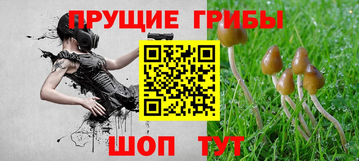 Галлюциногенные грибы мухоморы  Златоуст 