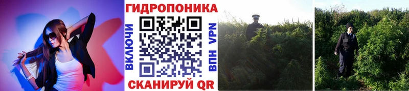 ссылка на мегу ссылки  где купить наркоту  Златоуст  Шишки марихуана Bruce Banner 